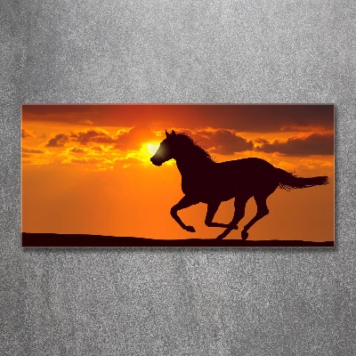 Foto obraz szkło akryl Koń zachód słońca