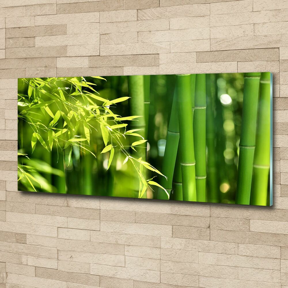 Foto obraz duży na scianę pleksi Bambus