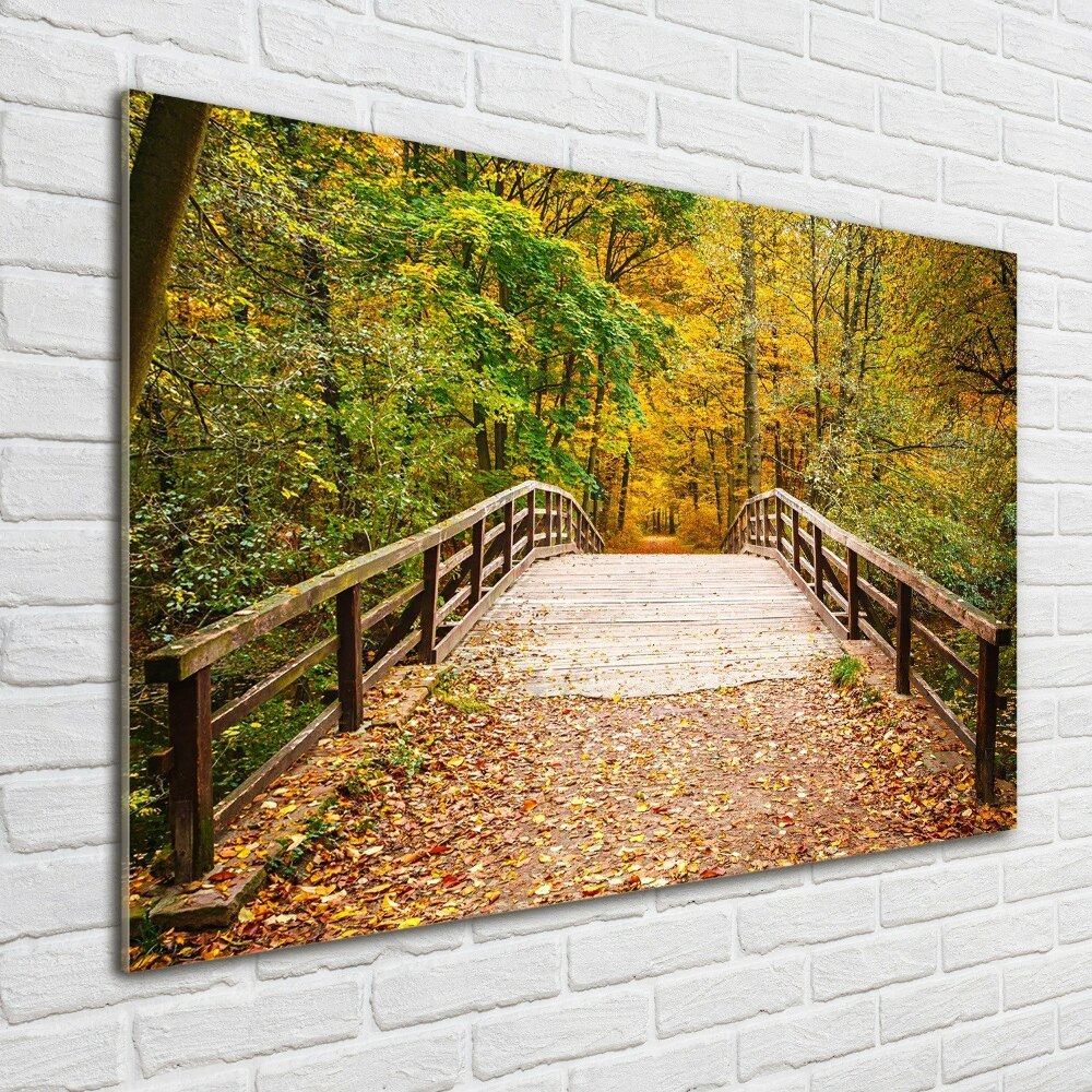 Foto obraz akryl Most w lesie jesień