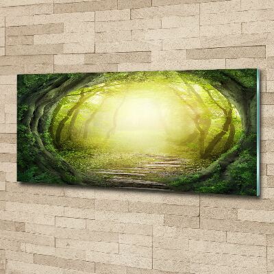 Foto obraz szkło akryl Tunel z drzew