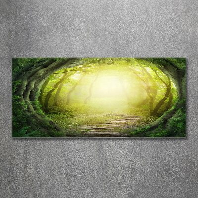 Foto obraz szkło akryl Tunel z drzew