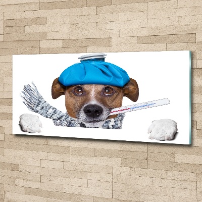 Foto obraz na ścianę akryl Chory pies