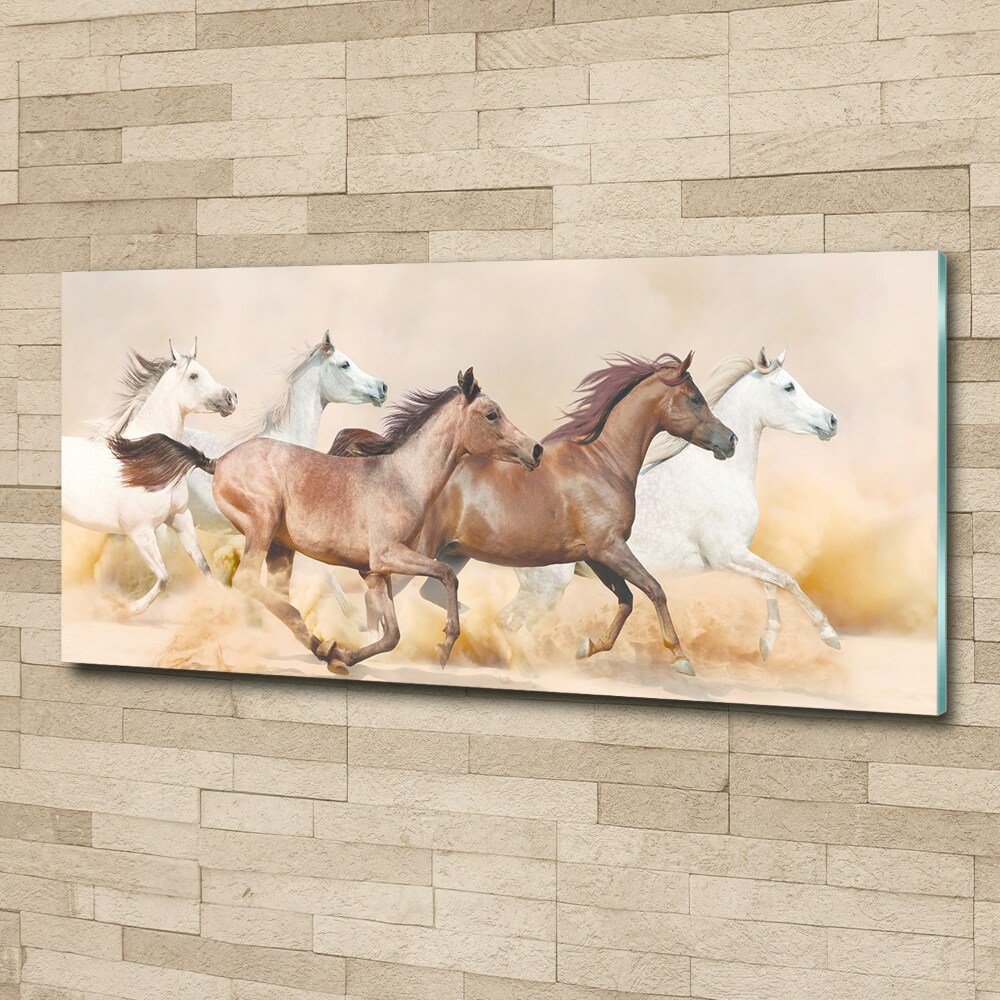 Foto obraz szkło akryl Konie w galopie