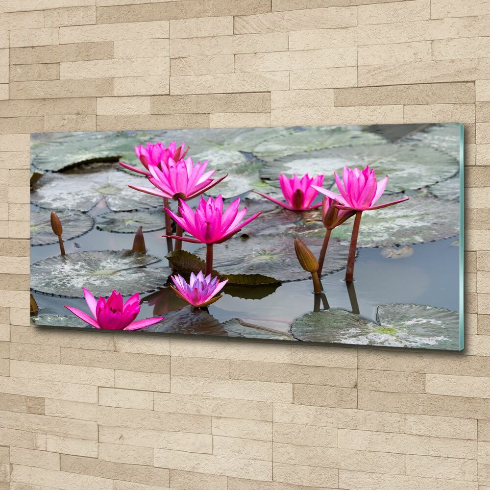 Obraz zdjęcie szkło akryl Kwiat lotosu
