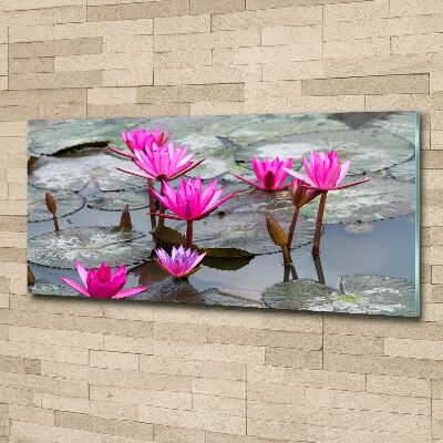 Obraz zdjęcie szkło akryl Kwiat lotosu