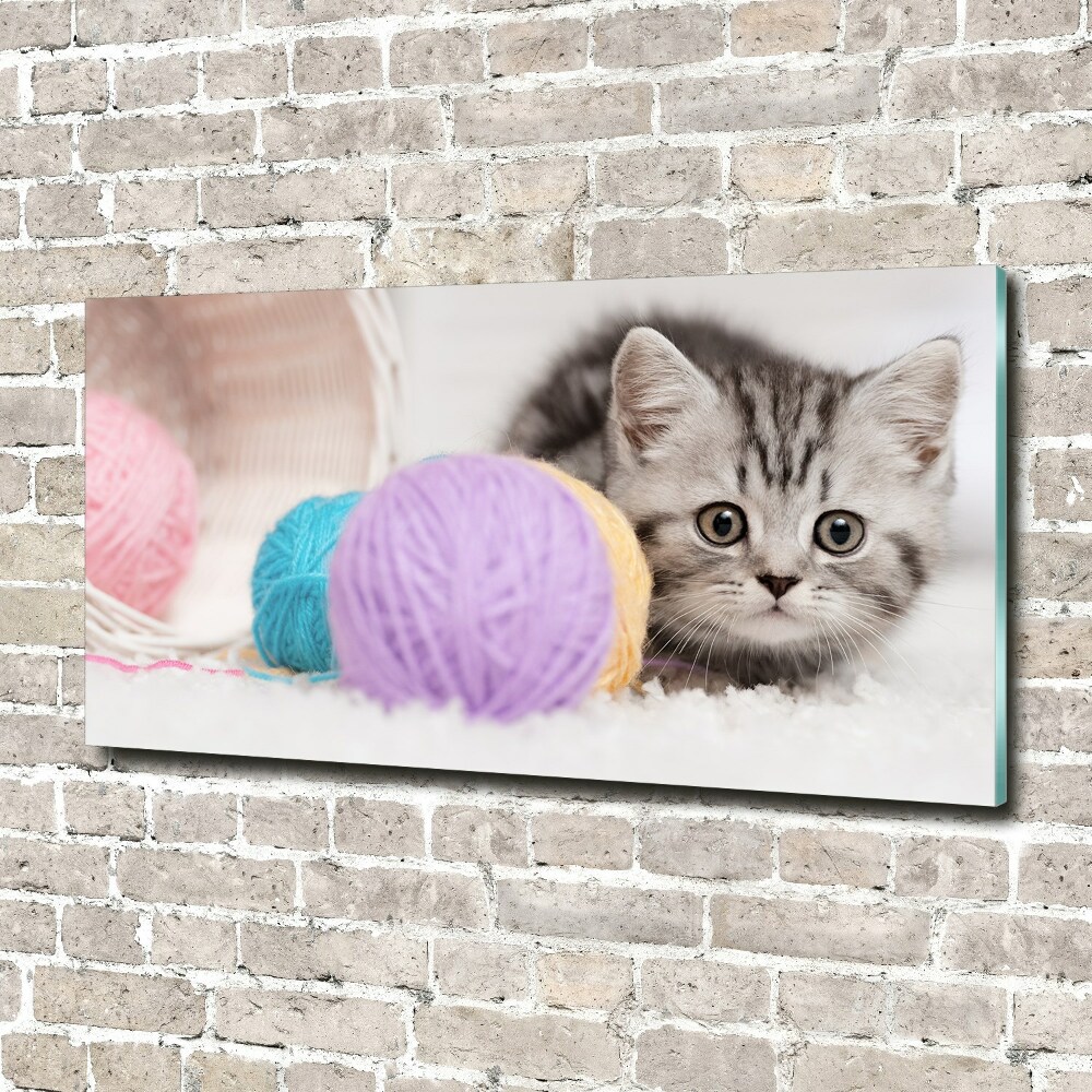 Foto obraz szkło akryl Kot z motkami