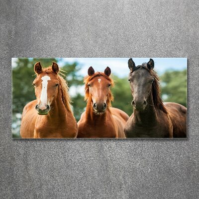 Foto obraz na ścianę akryl Trzy konie