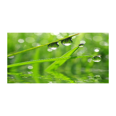 Obraz zdjęcie szkło akryl Krople na trawie