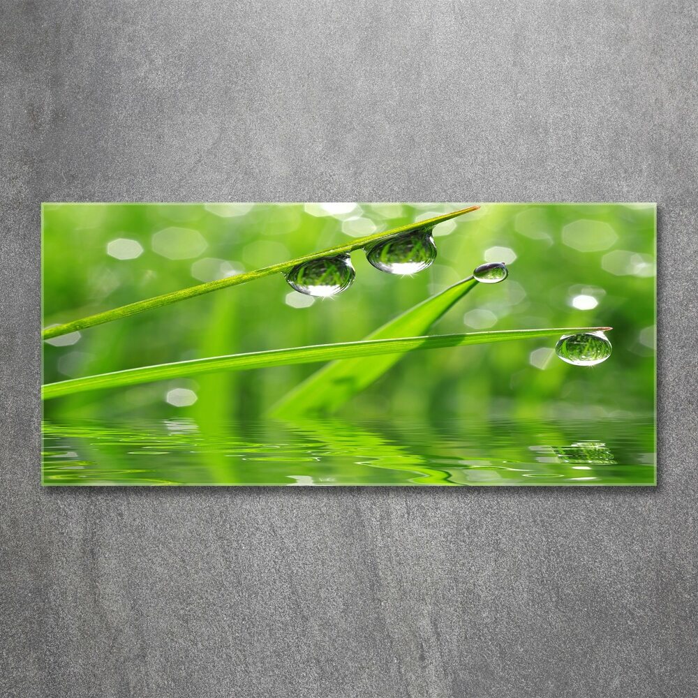 Obraz zdjęcie szkło akryl Krople na trawie