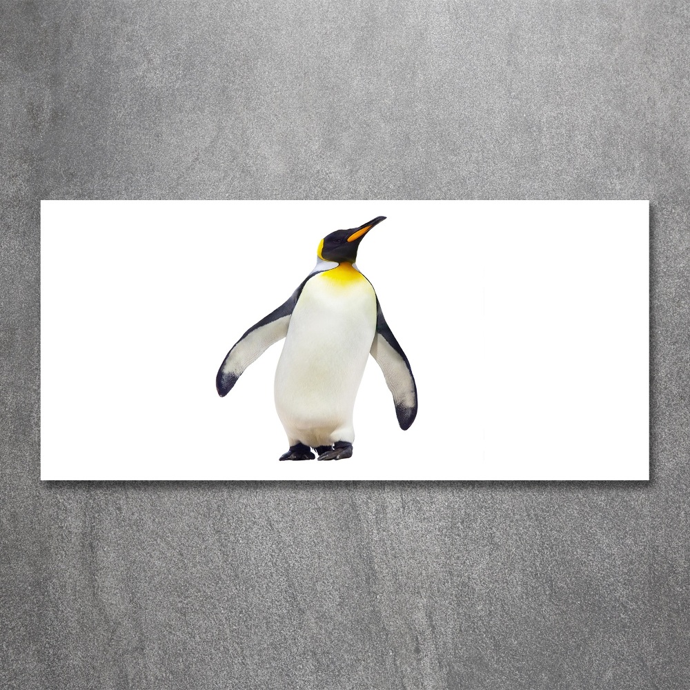 Foto obraz na scianę akrylowy Pingwin