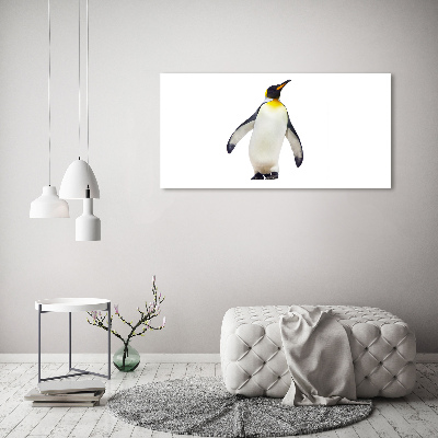 Foto obraz na scianę akrylowy Pingwin