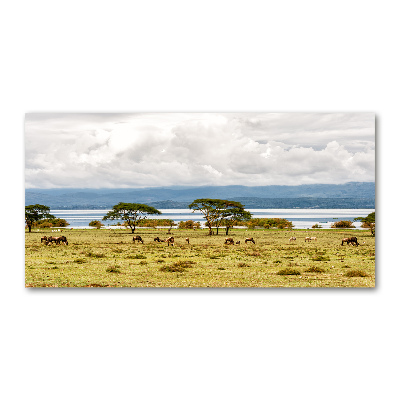 Foto obraz szkło akryl Jezioro Naivasha