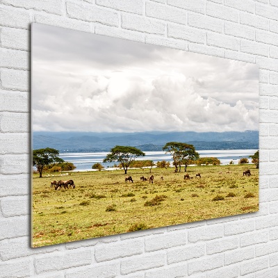 Foto obraz szkło akryl Jezioro Naivasha
