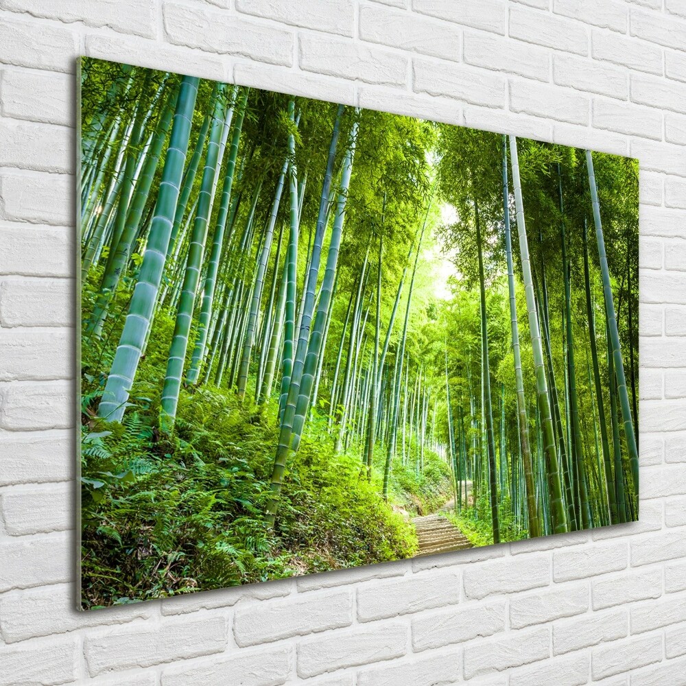 Foto obraz szkło akryl Las bambusowy