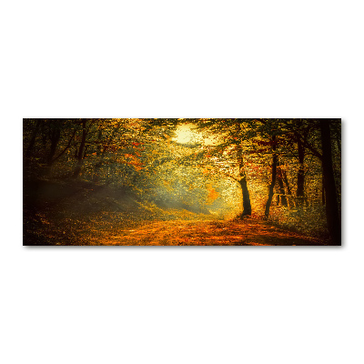 Foto obraz szkło akryl Las jesienią
