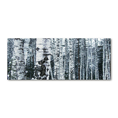 Obraz zdjęcie szkło akryl Drzewa brzozy