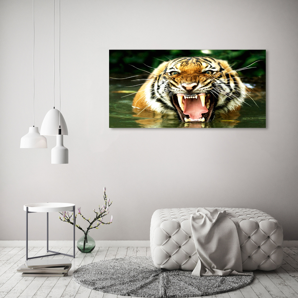 Obraz zdjęcie szkło akryl Ryczący tygrys