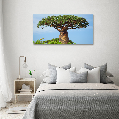 Fotoobraz na ścianę szkło akrylowe Baobab