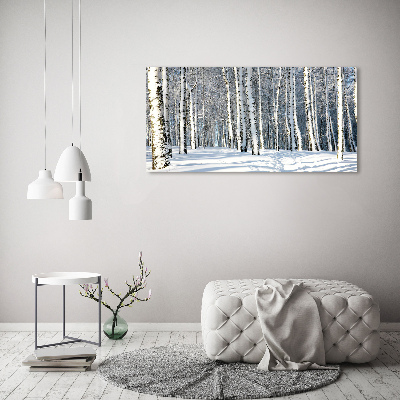 Obraz zdjęcie na ścianę akryl Las zimą