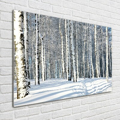 Obraz zdjęcie na ścianę akryl Las zimą
