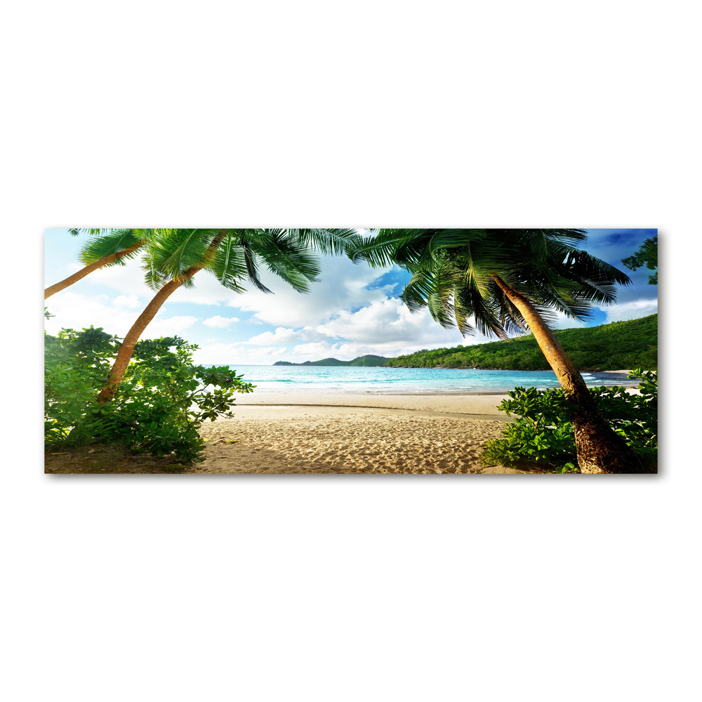 Foto obraz szkło akryl Palmy na plaży