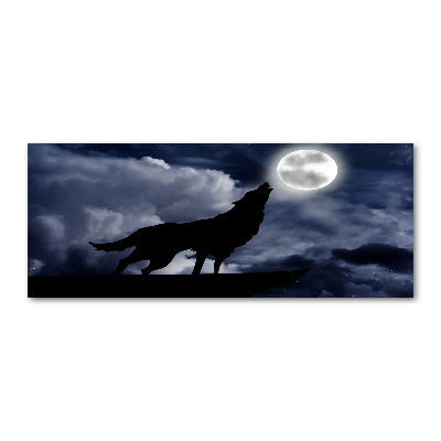 Obraz zdjęcie akryl Wyjący wilk pełnia