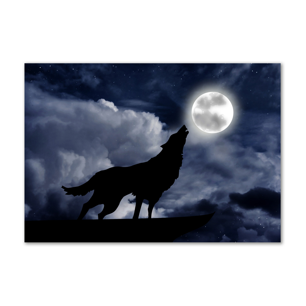 Obraz zdjęcie akryl Wyjący wilk pełnia