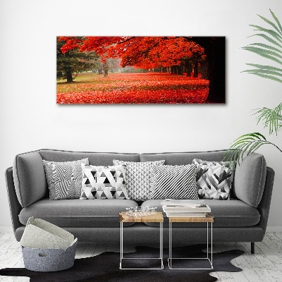 Obraz zdjęcie szkło akryl Drzewa jesienią