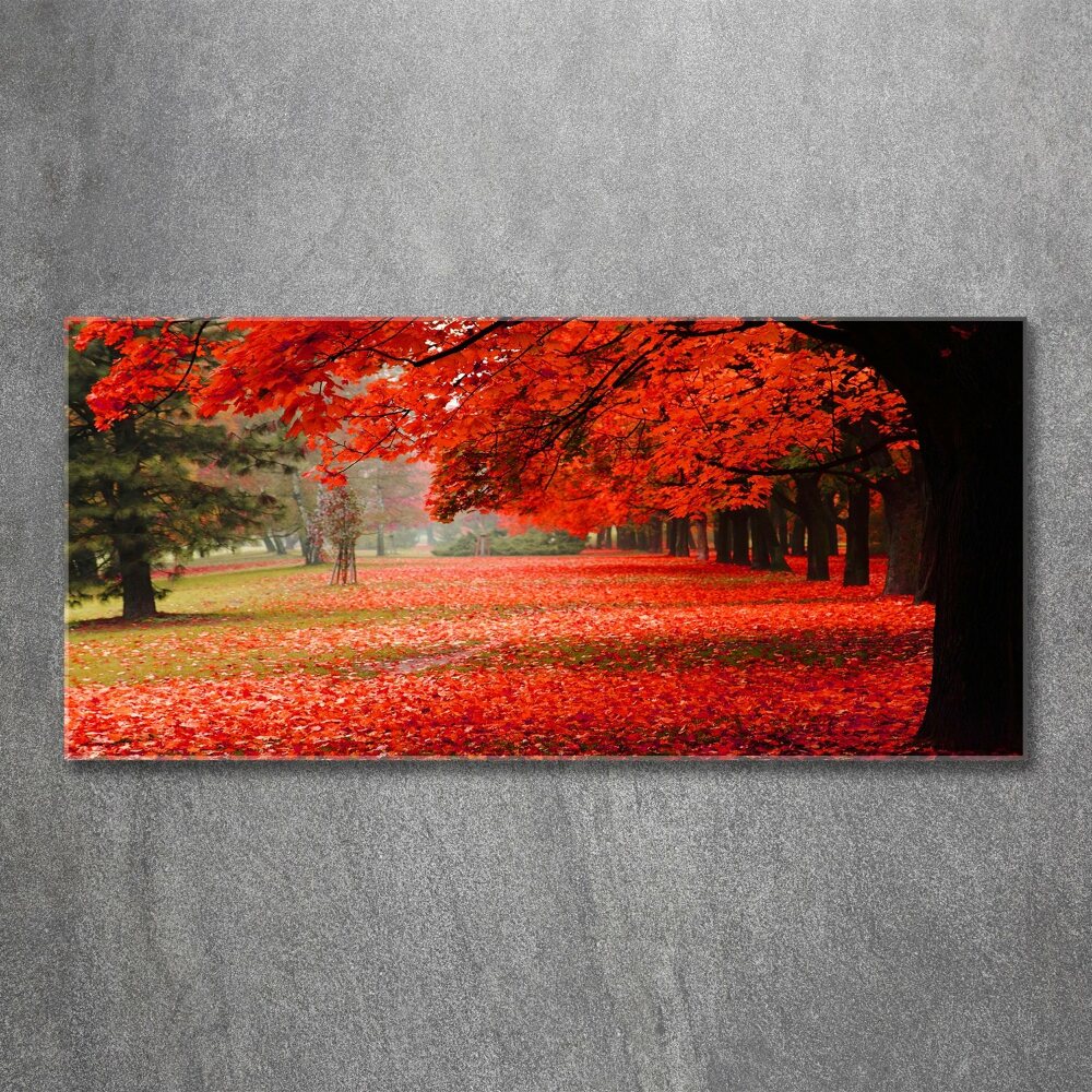 Obraz zdjęcie szkło akryl Drzewa jesienią