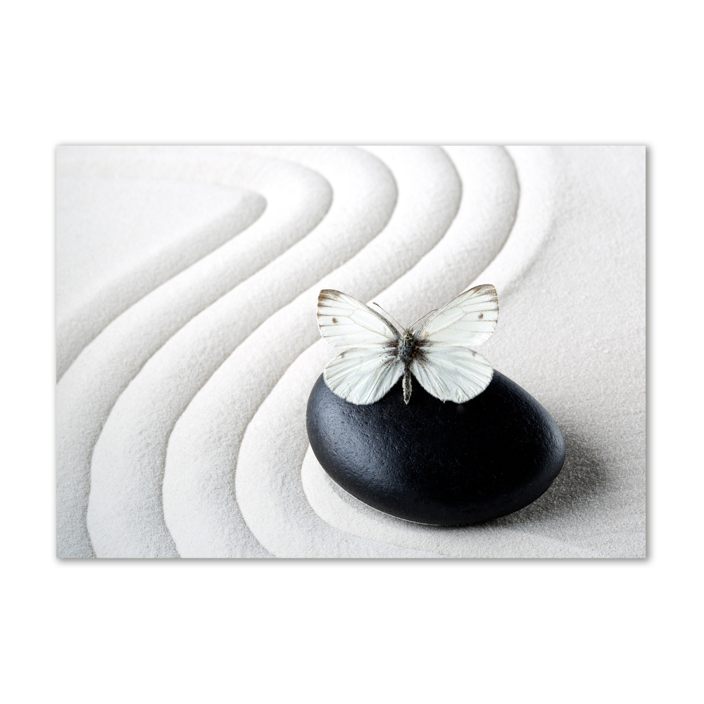Obraz zdjęcie akryl Kamień zen i motyl