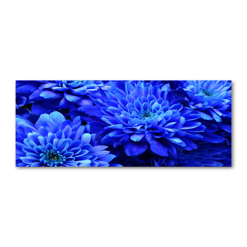 Obraz zdjęcie szkło akryl Niebieski aster