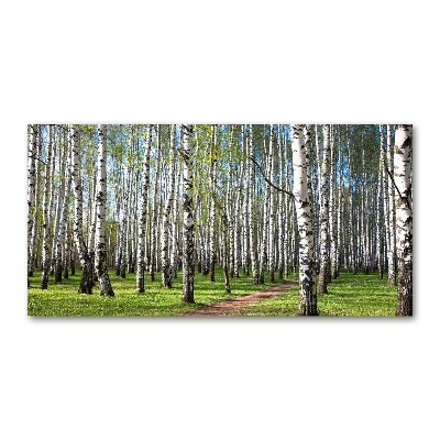 Foto obraz szkło akryl Brzozowy las