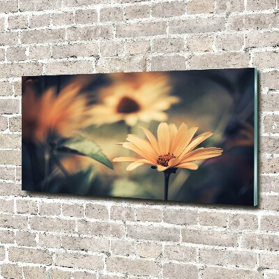 Obraz zdjęcie szkło akryl Wiosenny kwiat