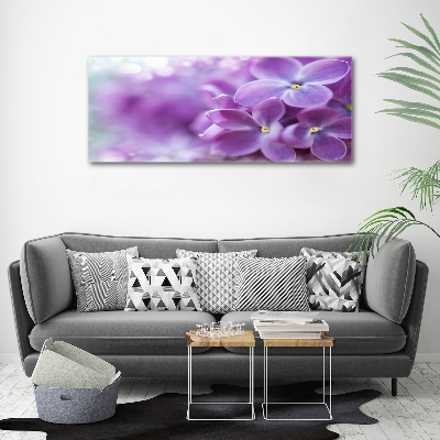 Obraz zdjęcie na ścianę akryl Kwiaty bzu