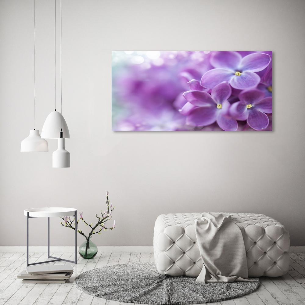 Obraz zdjęcie na ścianę akryl Kwiaty bzu