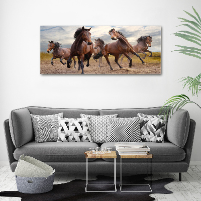 Obraz zdjęcie na ścianę akryl Pięć koni