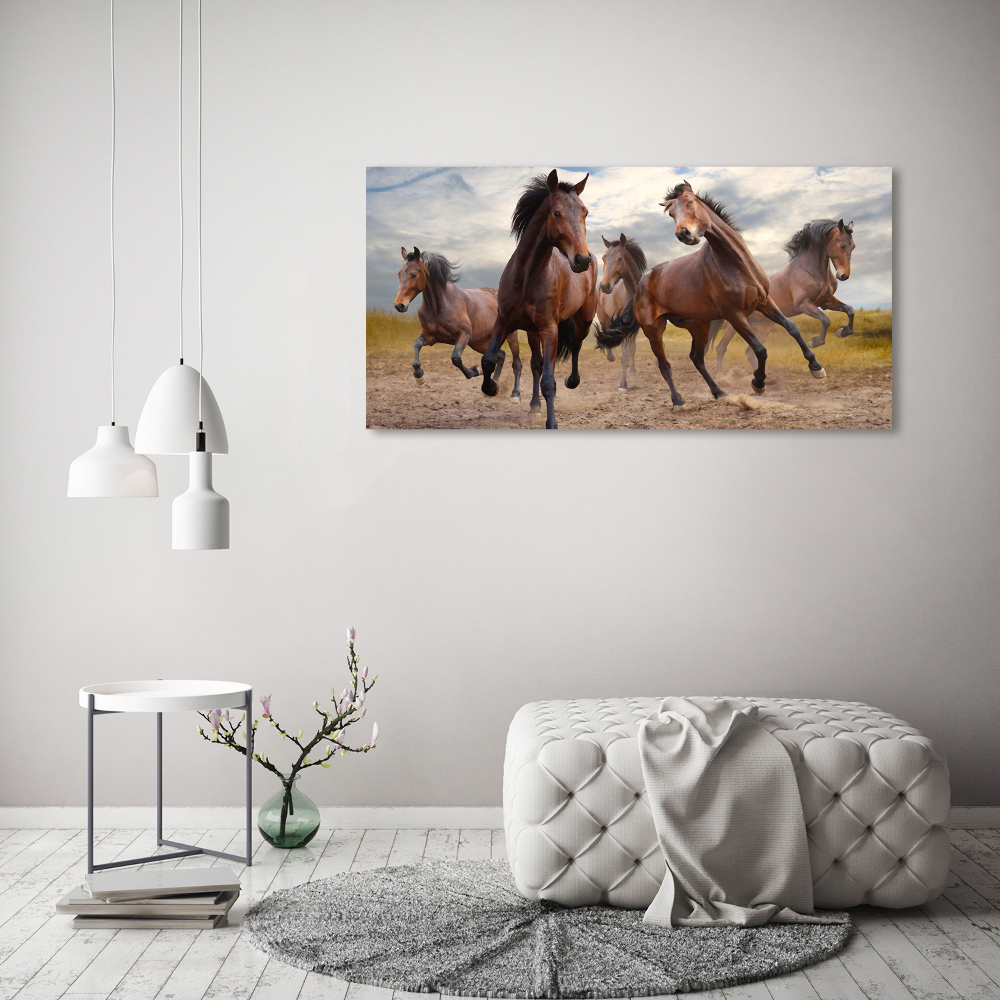 Obraz zdjęcie na ścianę akryl Pięć koni