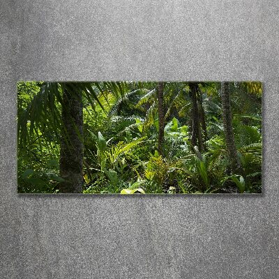 Obraz zdjęcie szkło akryl Tropikalny las