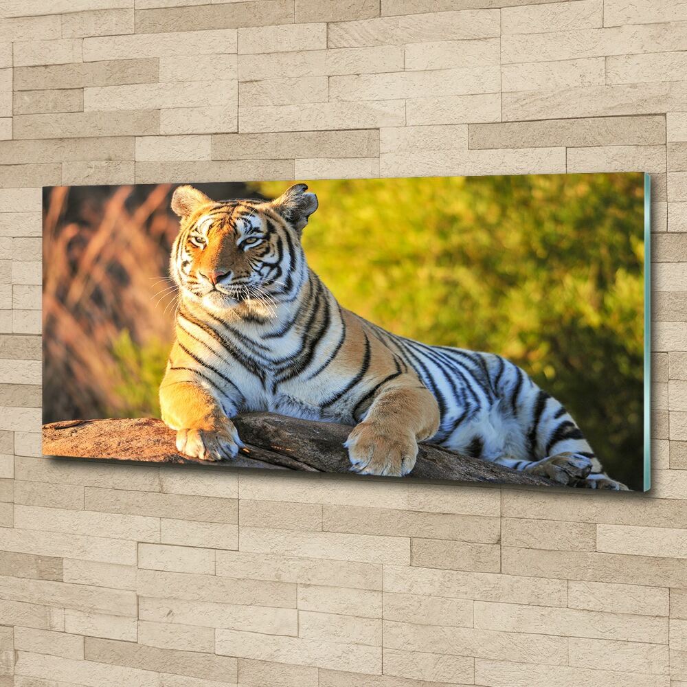 Obraz zdjęcie szkło akryl Portret tygrysa