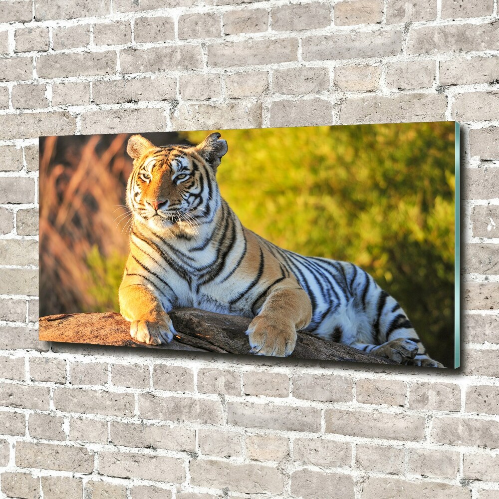 Obraz zdjęcie szkło akryl Portret tygrysa