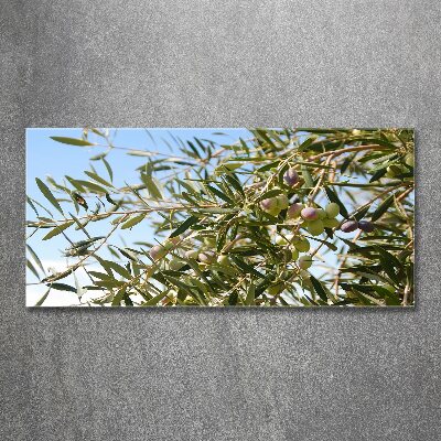 Obraz zdjęcie szkło akryl Drzewo oliwne