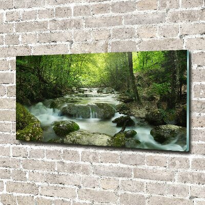 Foto obraz szkło akryl Wodospad w lesie