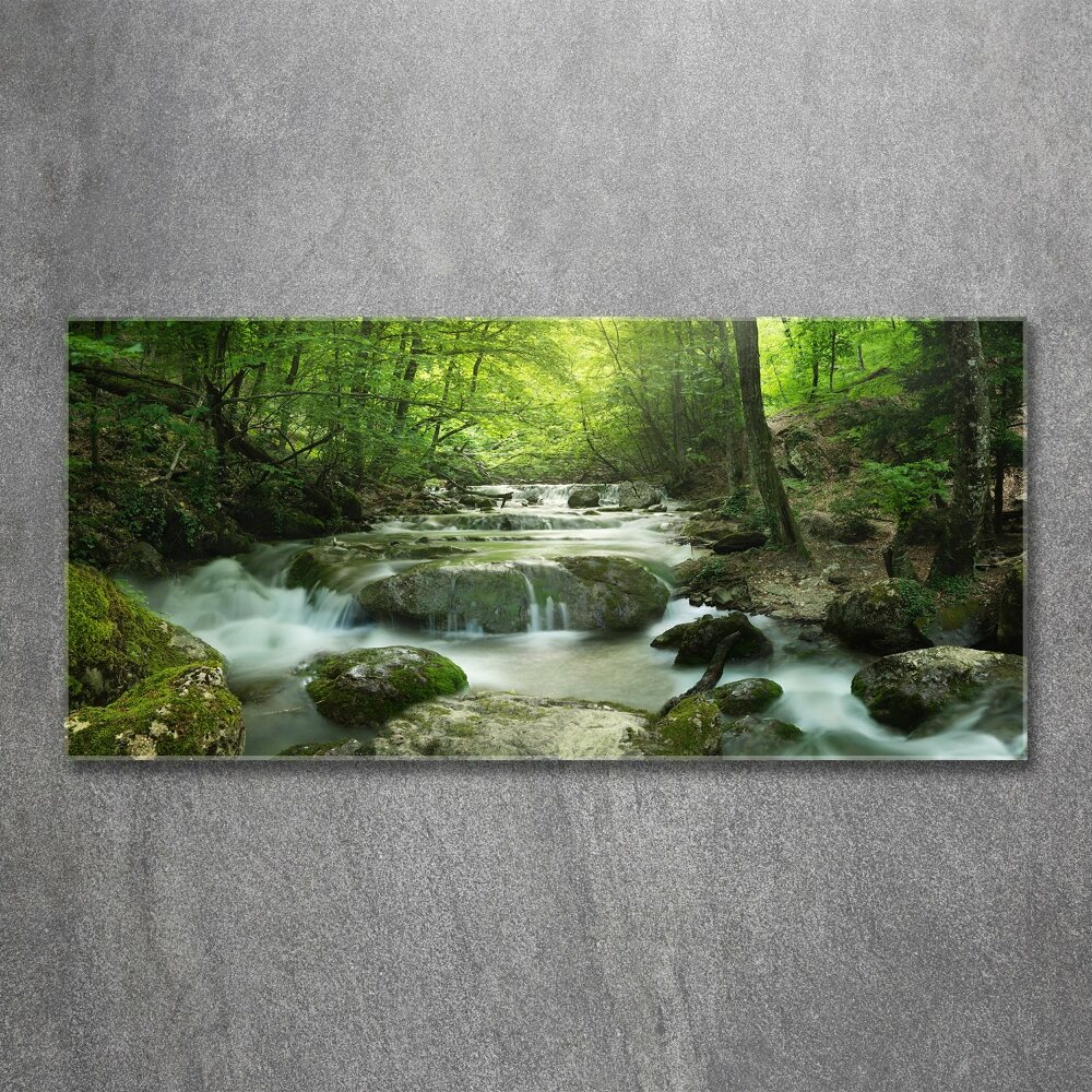 Foto obraz szkło akryl Wodospad w lesie
