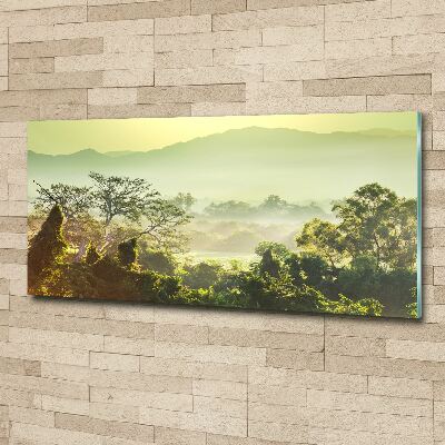 Foto obraz szkło akryl Dżungla