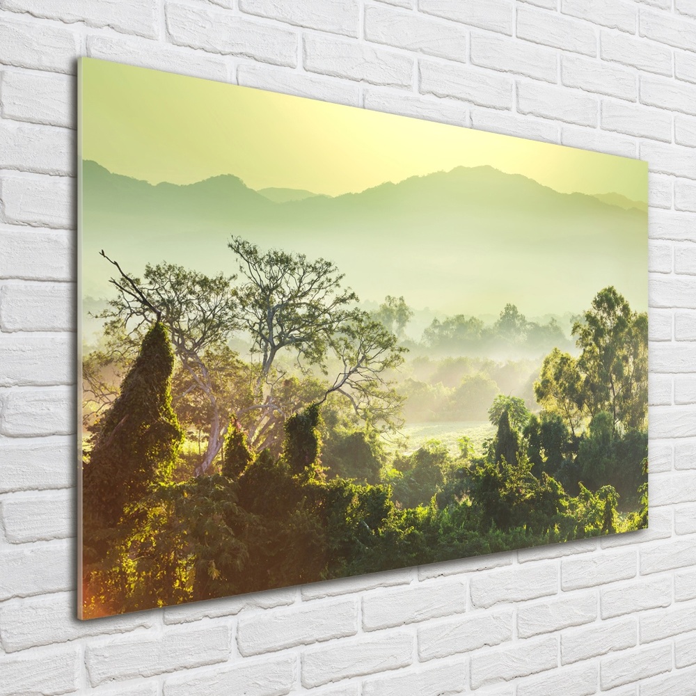 Foto obraz szkło akryl Dżungla