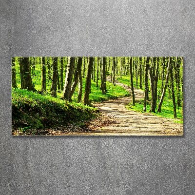 Foto obraz szkło akryl Ścieżka w lesie
