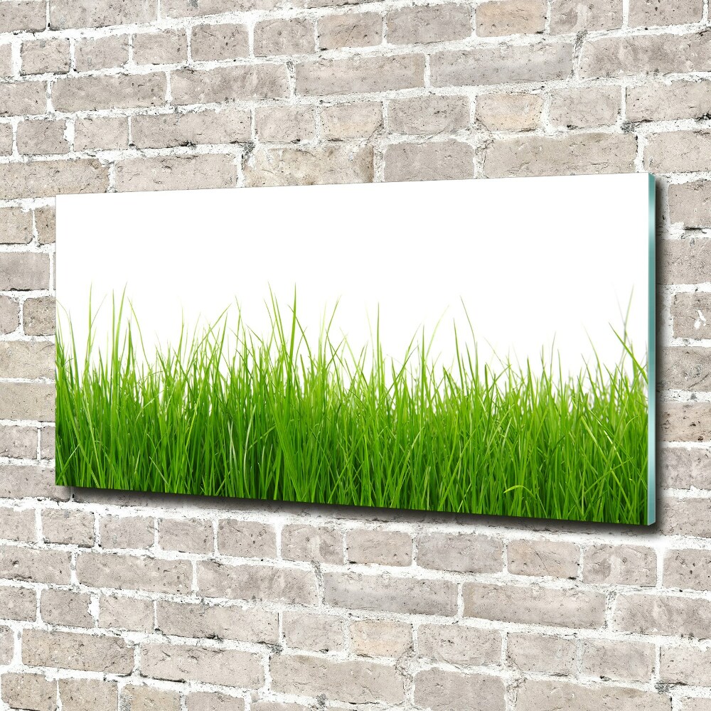 Obraz zdjęcie nowoczesny akrylowy Trawa