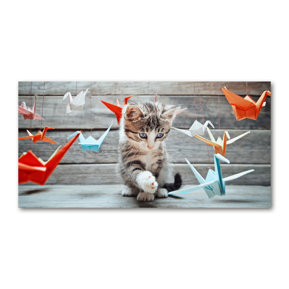 Obraz zdjęcie akryl Kot ptaki z papieru