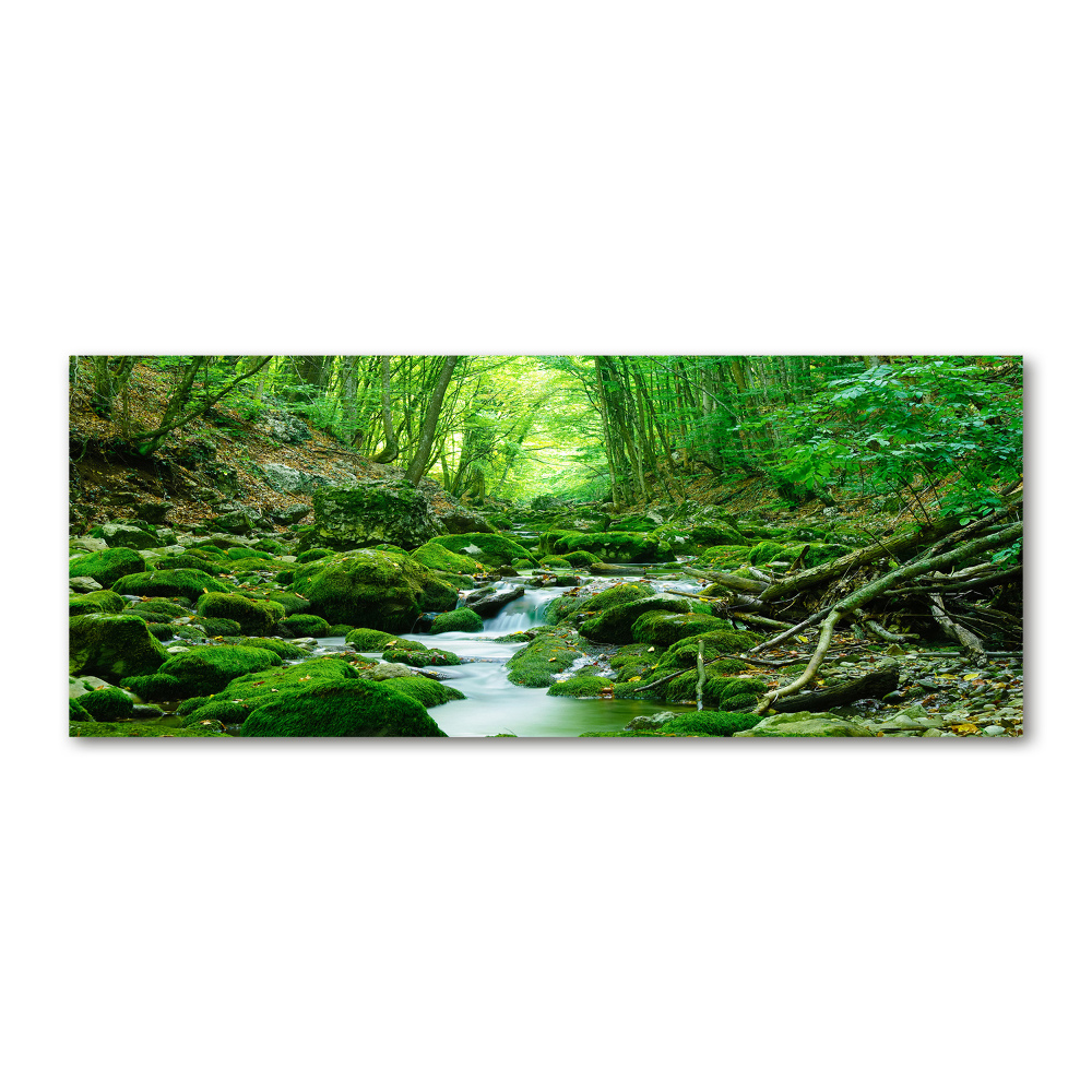 Foto obraz szkło akryl Strumień w lesie