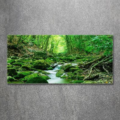 Foto obraz szkło akryl Strumień w lesie